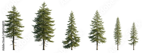 Larix decidua the European larch tree frontal set evergreen pinaceae needled tree isolated png medium and small on a transparent background perfectly cutout photo
