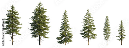 Larix decidua the European larch tree frontal set evergreen pinaceae needled tree isolated png medium and small on a transparent background premium cutout