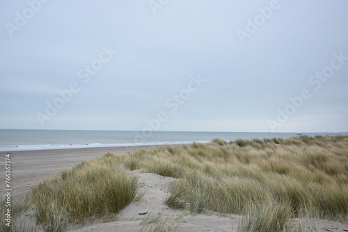 Belgium s coast in winter with sandstorms and sunshine