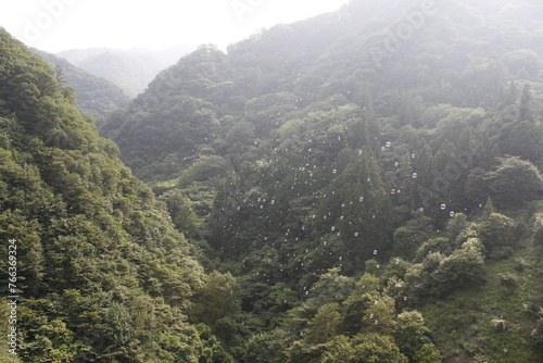山に飛ぶシャボン玉