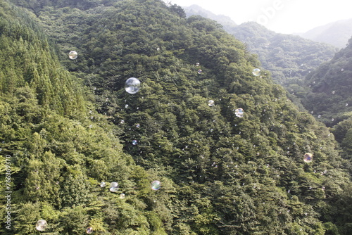 山に飛ぶシャボン玉