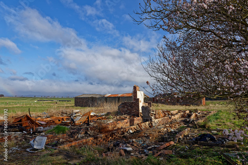 Demolished Wartime buildings beside a flowering Hawthorn Tree at Stracathro Airfield set amongst the farmland and fields on a sunny day in March.