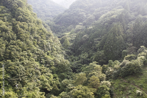 山に飛ぶシャボン玉