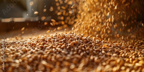 A large pile of grain is falling from a machine. The grain is brown and scattered all over the ground