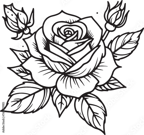 botanical bouquet of roses  in line art cartoon outline vector illustration  isolated on transparent background