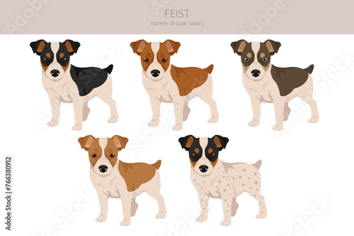 Feist dog clipart. Different coat colors set