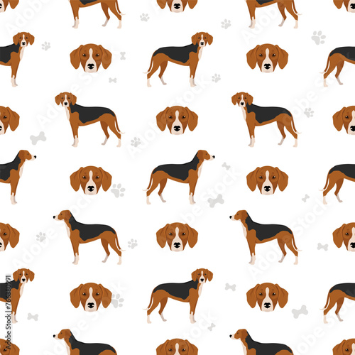 Finnish Hound seamless pattern. Different coat colors set photo