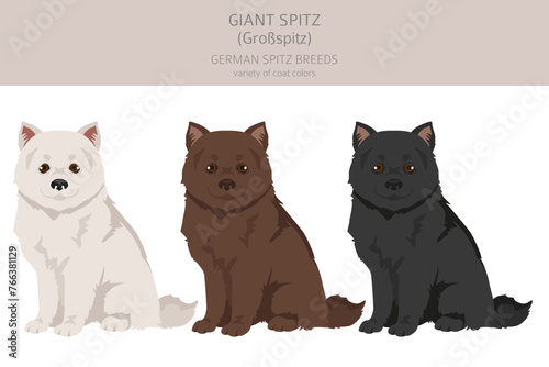 German spitz, Giant spitz puppy clipart. Different poses, coat colors set