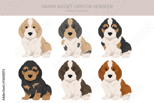 Fototapeta Naklejka Na Ścianę i Meble -  Grand basset griffon vendeen puppy clipart. Different poses, coat colors set