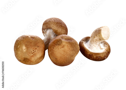 Shiitake mushroom transparent png