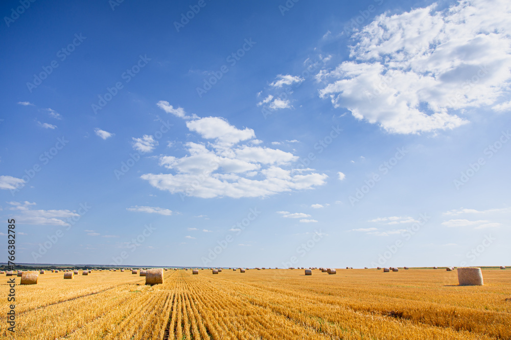 Wheat bales in a clean field after harvest. Rural landscape. Ukraine.