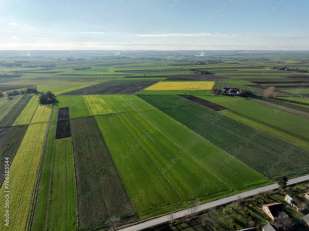 Fototapeta premium Prace polowe, produkcja zdrowej ekologicznej żywności w Polsce, ciągnik w polu, prace polowe, produkcja roślinna na wsi, prace polowe na wsi, uprawa roślin na żywność,