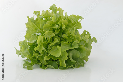 Fresh green oak lettuce on white background