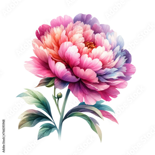 Watercolor of A beautiful flower with a pink center and purple petals  Clipart  Flower  isolated on a transparent background