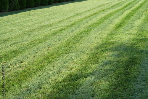 Koszenie trawy, kosa do trawy, idealny trawnik po skoszeniu kosą, zielony trawnik, pielęgnacja trawnika. © klumb