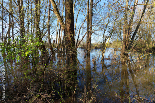 Loire river flood in Chécy village. Loire valley