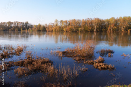  Loire river bank in Combleux village