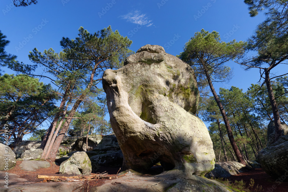 Boulders off the Dame Jouanne rock in The massif of Fontainebleau	