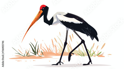 Saddlebilled Stork Searching for Food flat vector is photo