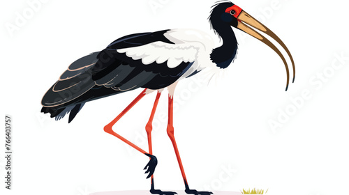 Saddlebilled Stork Searching for Food flat vector is photo