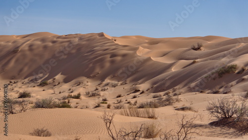 Tall dunes surrounding a valley in the Sahara Desert, outside of Douz, Tunisia