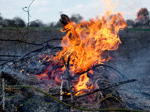 The foreground prominently features burnt ash surrounding the active flame which indicates ongoing combustion. Illegal burning of leaves and dry grass.