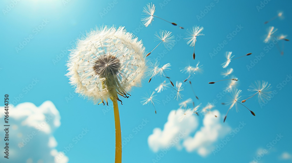 Fototapeta premium dandelion again blue sky wind, vector art