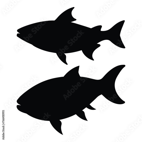 silhouette of tarpon fish on white