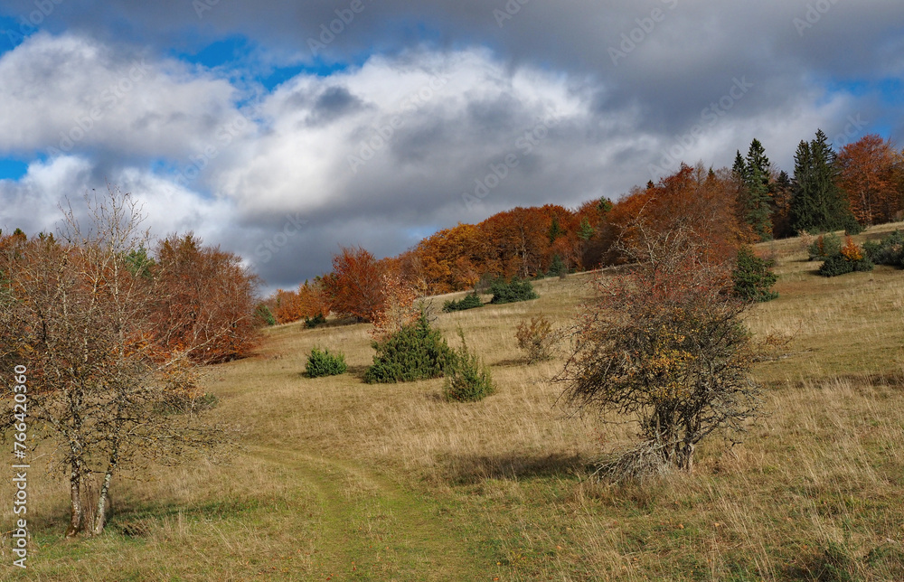 Herbstliche Wacholderheide, Schwäbische Alb