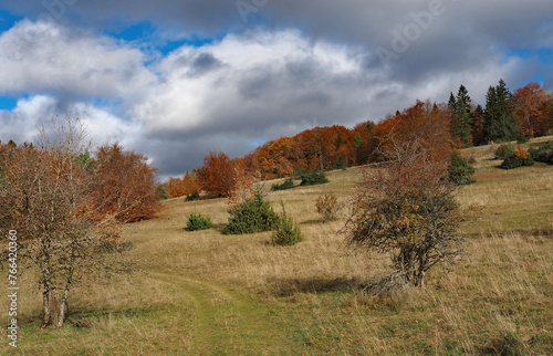 Herbstliche Wacholderheide, Schwäbische Alb
