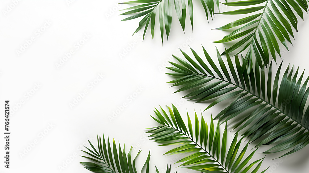 Tropical leaves background with copy space