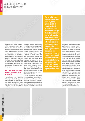 magazine mockup, annual report mockup with pink headers, four-column layout, A4, 8x11 in