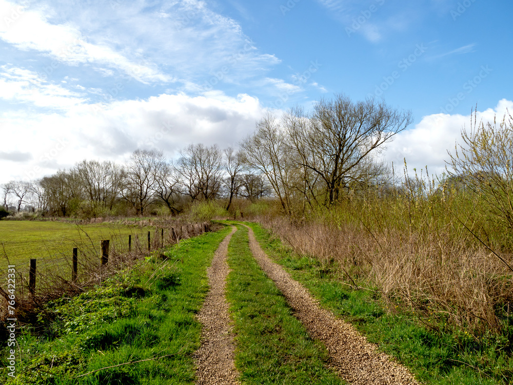 Trail beside a field with trees and a blue sky