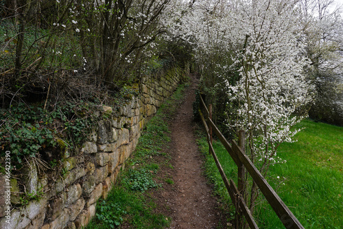 Weinbergweg; Wengertwegle; bei Tübingen-Lustnau; Baden Württemberg; Deutschland; photo