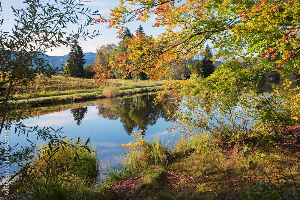 pictorial lake Moorweiher near Oberstdorf, colorful branches in autumn. allgau landscape