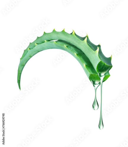 Two cut aloe vera stems with dripping drops