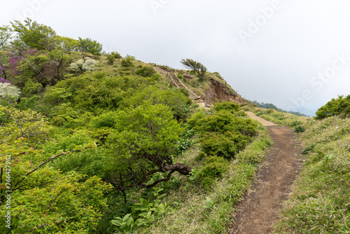 Mountain trail from Hirugadake to Mt. Tanzawa  photo