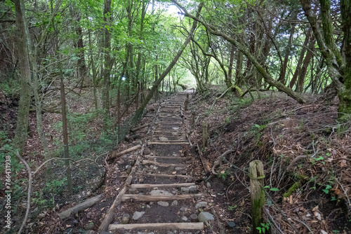 Trail between Mt. Tonodake and Okura