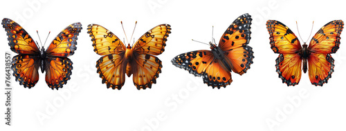 colorful butterfly set isolated on a transparent or white background, png 