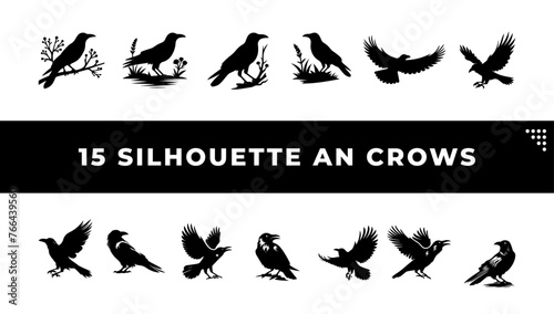15 sihouette an crows