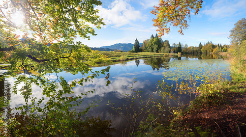 Fototapeta Naklejka Na Ścianę i Meble -  stunning autumnal landscape lake Moorweiher Oberstdorf, branches with autumnal leaves