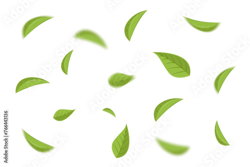 Realistic vector illustration of green tea leaves abstract and blurred