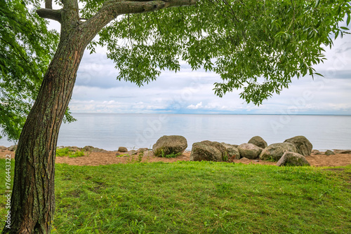 Summer landscape of the park with juicy grass, beautiful wood and the Gulf of Finland. Copy Text Space