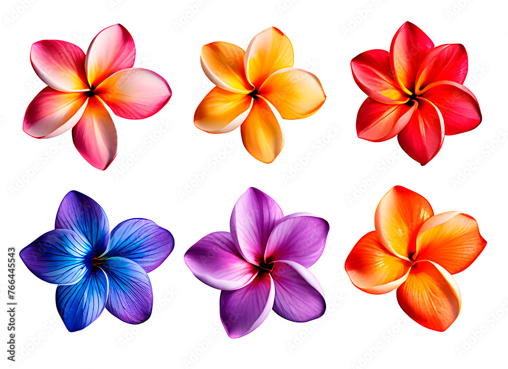 Set of colorful delicate flowers isolated on transparent background. Set of colorful delicate flowers isolated on transparent background.
