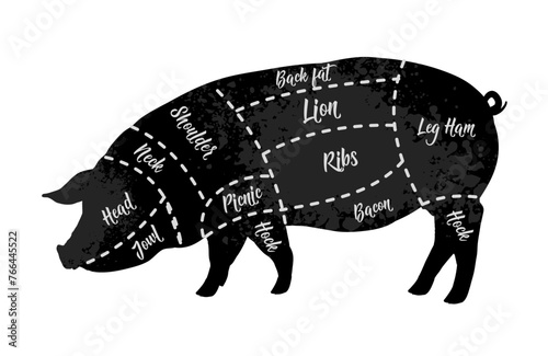 Butcher diagrams of meat cuts, pork, pig - vector illustration
