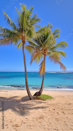 Two palm trees on a beach with white sand and blue ocean