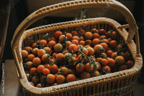 basket of cherry tomatoes Organic