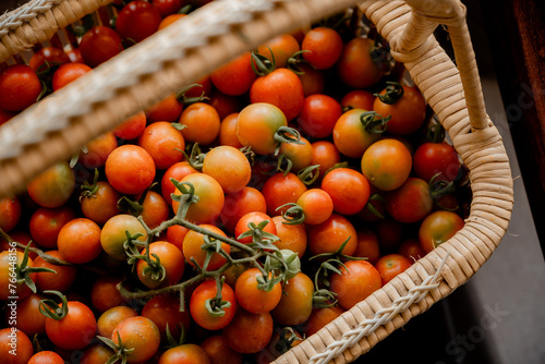basket of cherry tomatoes Organic