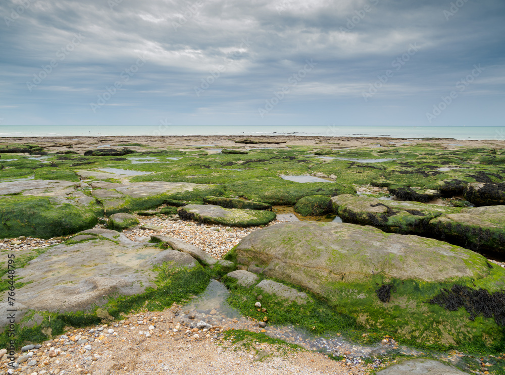 The sea coast between Audresselles and Ambleteuse. Boulders on the beach covered with seaweed. Waters of the English Channel - The La Manche Channel. France.