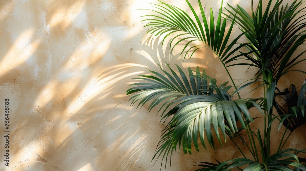 Three Potted Palm Trees Against Wall
